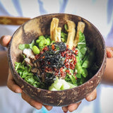 Natural Coconut Bowl