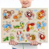 Montessori Wooden Puzzles